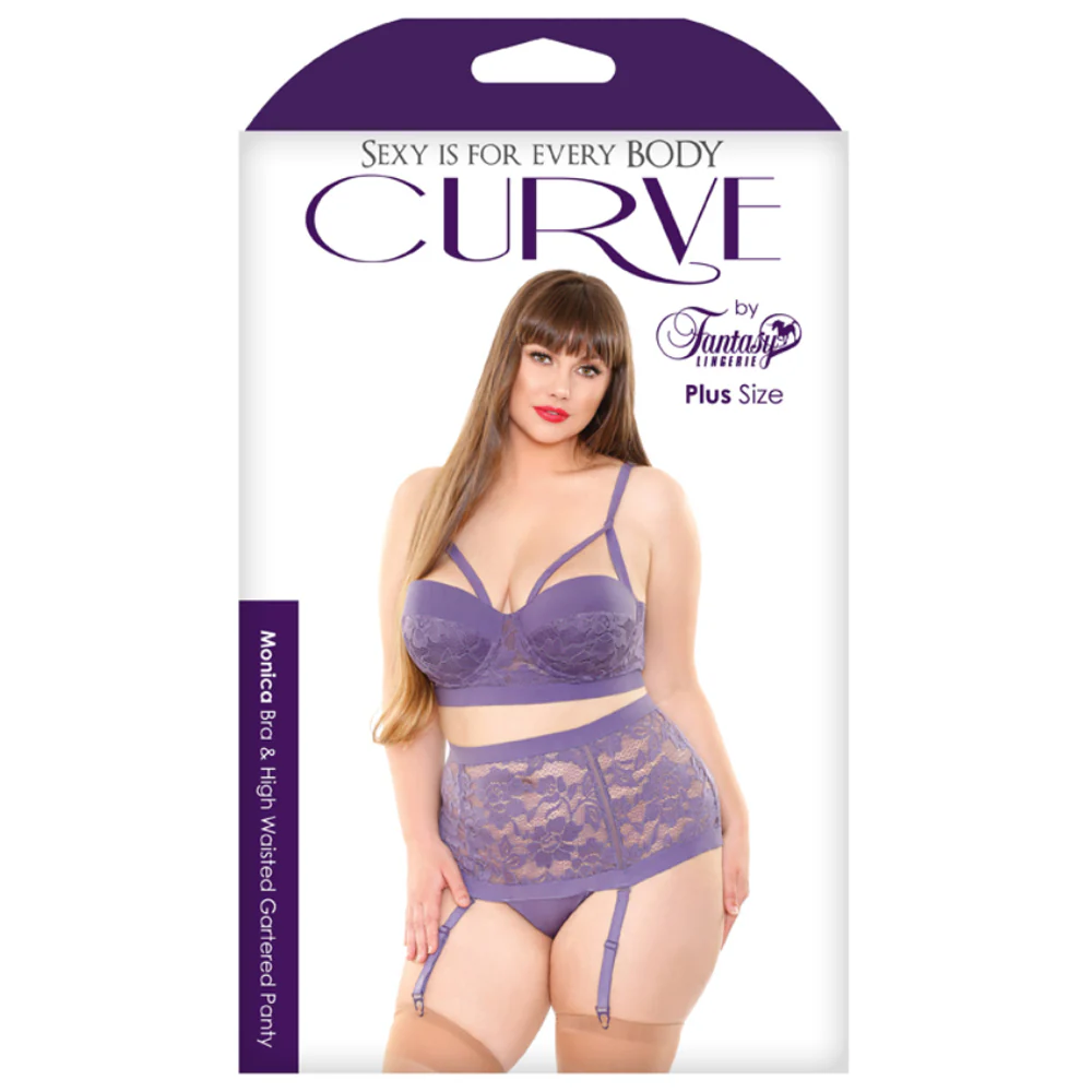 Fantasy Lingerie Curve - Monica Bra & High Waisted Gartered Panty Set - Image 3