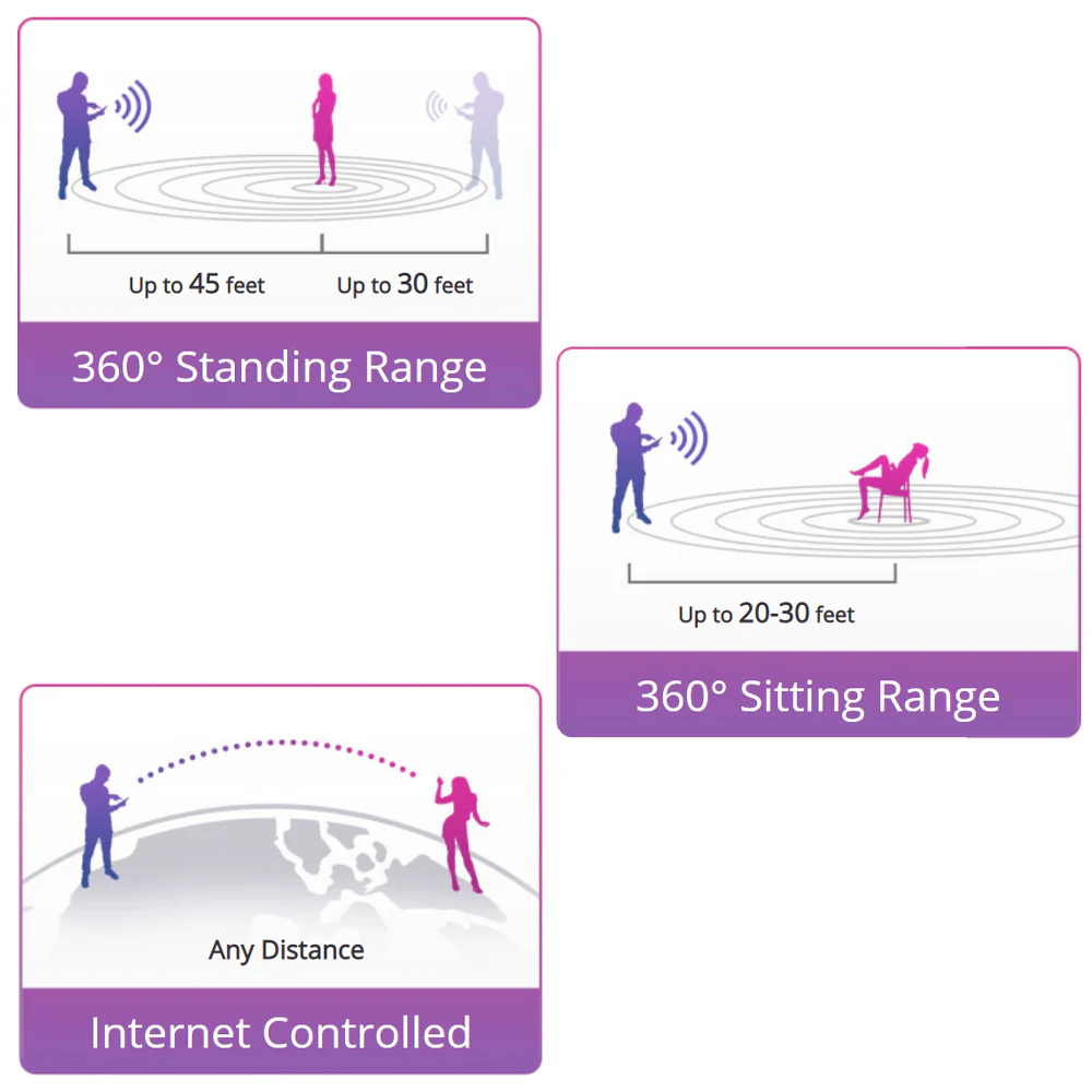 Lovense Ferri Bluetooth Panty Vibrator - Image 9