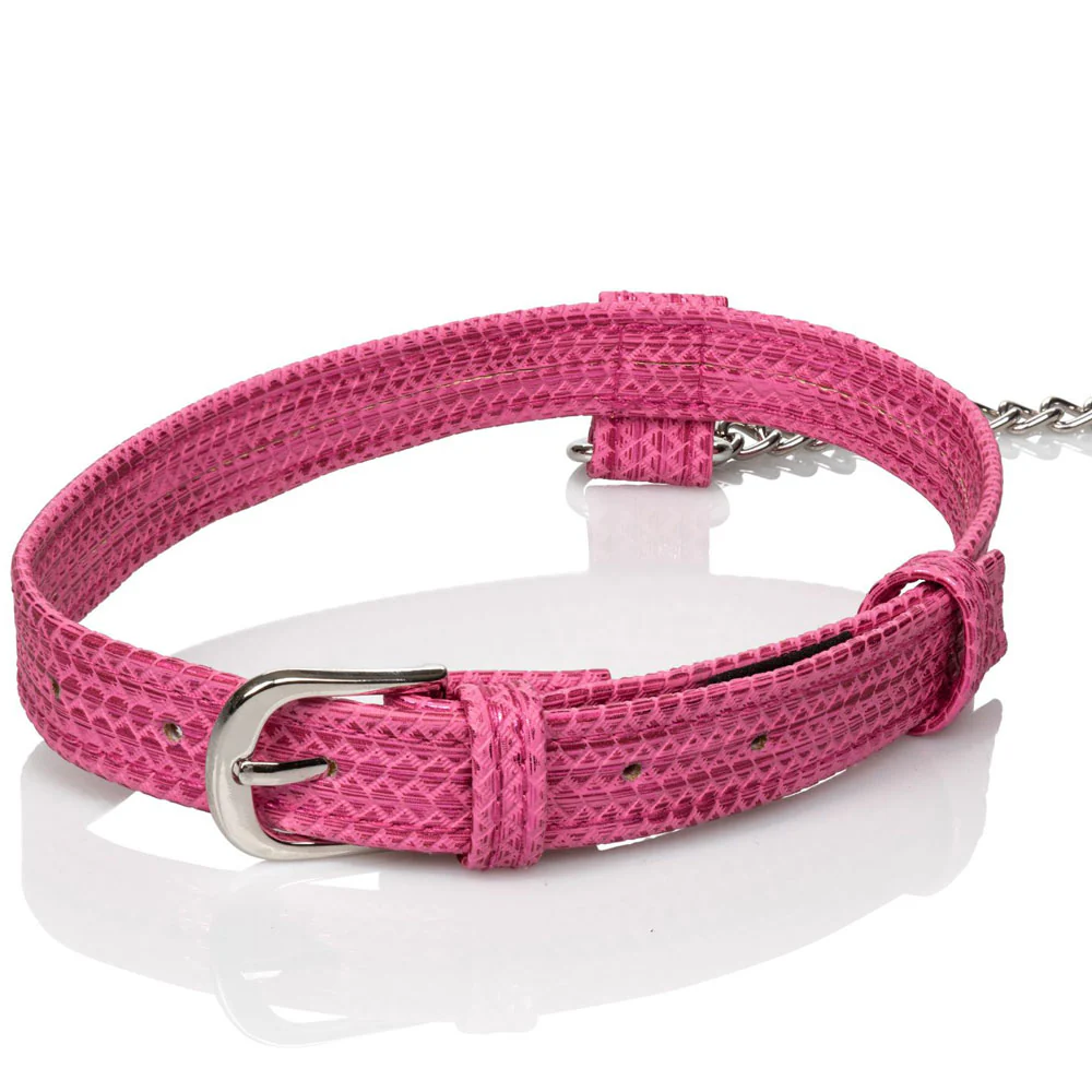 Tickle Me Pink  Glitter Collar With Leash - Image 3